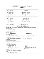 Giáo án phụ đạo lớp 1 tuần 25