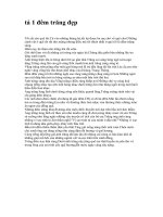 Tả cảnh một đêm trăng đẹp 2