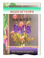 Bài giảng trao duyên ngữ văn 10