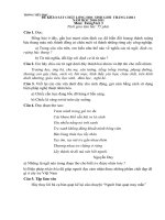 Đề-đáp án thi HSG lớp 3-Môn TV NH2010-2011