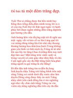 Tả cảnh một đêm trăng đẹp