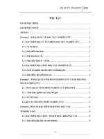 Đặc điểm thành phần vật chất và đặc tính công nghệ dolomit khu vực tỉnh hà nam và khả năng sử dụng trong sản xuất gạch không nung