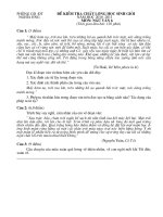 Đề thi HSG ngữ văn 6