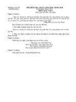 Đề thi HSG ngữ văn 7