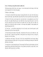 Đề cương đường lối cách mạng Đảng cộng sản