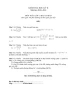 Đề kiểm tra học kì II toán 11 cơ bản có đáp án