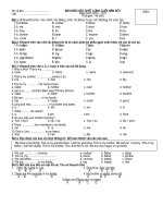 bai kiem tra dinh ki cuoi nam lop 3