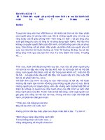 Bài viết số 2 văn lớp 11