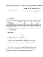 ĐỀ THI CHỌN HSG MÔN VĂN LỚP 11-CÓ ĐÁP ÁN