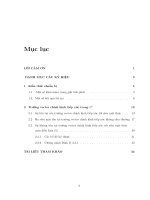 Về sự tồn tại của trường vectơ tiếp xúc chỉnh hình trong c2