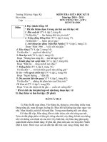 de thi giua hoc ki 2 lop4