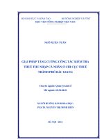 Giải pháp tăng cường công tác kiểm tra thuế thu nhập cá nhân ở chi cục thuế thành phố bắc giang
