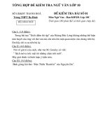 TỔNG HỢP ĐỀ KIỂM TRA NGỮ VĂN LỚP 10 CÓ ĐÁP ÁN