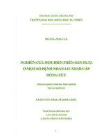 Nghiên cứu đột biến trên gen FLT3 ở một số bệnh nhân lơ xê mi cấp dòng tủy