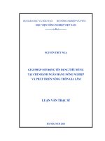 Giải pháp mở rộng tín dụng tiêu dùng tại chi nhánh ngân hàng nông nghiệp và phát triển nông thôn gia lâm