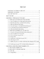 Nghiên cứu tính đa hình đơn nucleotide tại intron 1 và sự liên quan của gen FTO với bệnh đái tháo đường týp 2 ở người từ 40 đến 64 tuổi