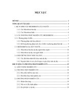Sự hiện diện của các vi khuẩn kị khí ở các bệnh nhân bị chảy máu dạ dày ở việt nam
