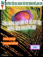 BỘ SƯU TẦM ẢNH ĐỘNG TỔNG HỢP