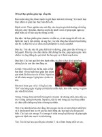 BÍ QUYẾT GIÚP BẠN SỐNG LÂU