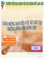 BỘ SƯU TẦM ẢNH ĐỘNG VẸT