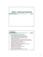 Tài liệu học CCNA kỳ 1 mod2 netfundamentals