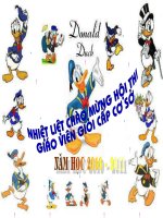 Truyện chú vịt xám