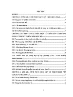 Nghiên cứu tính chất điện tử của một số perovskite từ tính pha tạp đất hiếm