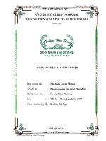 Xây dựng thực đơn Nhà hàng Green Mango