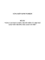 sáng kiến kinh nghiệmnâng cao chất lượng chuyên môn của đội ngũ giáo viên trường mẫugiáo tân phú