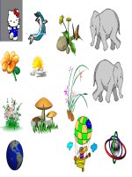 Một số hình động để trang trí