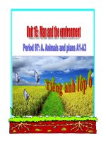 Bài giảng tiếng anh 6 unit 16