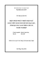 Biện pháp phát triển đội ngũ giáo viên mầm non huyện Đại Lộc, tỉnh Quảng Nam theo chuẩn nghề nghiệp