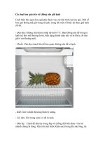 CÁC LOẠI QUẢ KHÔNG NÊN BỎ TỦ LẠNH