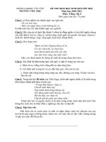 Đề -đáp án thi HSG lớp 5-môn TV NH 2010-2011