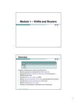 Tài liệu học CCNA kỳ 2 mod1 wansrouters