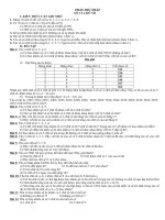 Hướng dẫn tìm lời giải Toán 5