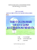 tìm hiểu về nguồn  năng lượng sinh khối giải pháp khai thác và sử dụng nguồn năng lượng này theo hướng phát triển bền vững.