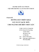 HƯỚNG DẪN TRIỂN KHAI  SẢN XUẤT SẠCH  HƠN CHO NGÀNH CHẾ BIẾN THỦY SẢN