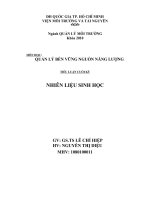 TIỂU LUẬN QUẢN LÝ BỀN VỮNG NGUỒN NĂNG LƯỢNG NHIÊN LIỆU SINH HỌC