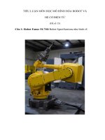 TIỂU LUẬN MÔN HỌC MÔ HÌNH HÓA ROBOT VÀ HỆ CƠ ĐIỆN TỬ (Đề số 15)