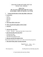 MẪU BÁO CÁO  ĐỀ TÀI SÁNG KIẾN ĐỀ NGHỊ XÉT TẶNG DANH HIỆU CHIẾN SĨ THI ĐUA CẤP TỈNH