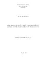 Đánh giá tác động và tính tổn thương do biến đổi khí hậu đối với sản xuất lúa nước tỉnh nam định