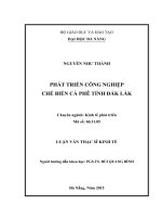 Luận văn thạc sĩ Phát triển công nghiệp chế biến cà phê Tỉnh Đăk Lắk (full)