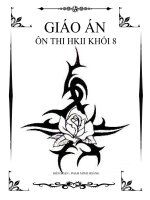 GIÁO ÁN ÔN THI HKII KHỐI 8