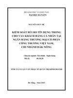 Kiểm soát rủi ro tín dụng trong cho vay khách hàng cá nhân tại ngân hàng TMCP công thương Việt Nam, chi nhánh Đăk Nông
