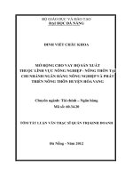 Mở rộng cho vay hộ sản xuất thuộc lĩnh vực nông nghiệp - nông thôn tại chi nhánh ngân hàng NN&PTNT Huyện Hoà Vang