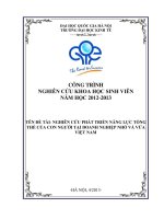 đề tài NGHIÊN cứu PHÁT TRIỂN NĂNG lực TỔNG THỂ của CON NGƯỜI tại DOANH NGHIỆP NHỎ và vừa VIỆT NAM