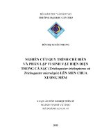 Nghiên cứu quy trình chế biến và phân lập vi sinh vật hiện diện trong cá sặc (Trichogaster trichopterus & Trichogaster microlepis) lên men chua, xương mềm