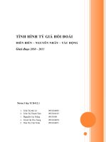 Tiểu luận Thanh toán quốc tế tìm hiểu Biến động tỷ giá 2010-2011