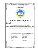 Phân tích rủi ro trong hoạt động cho vay tiêu dùng tại Phòng giao dịch Cát Linh – Ngân hàng Thương mại Cổ phần Việt Nam Thịnh Vượng